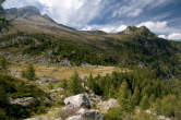 20120828_130101 Piano dell'Alpe Campo.jpg